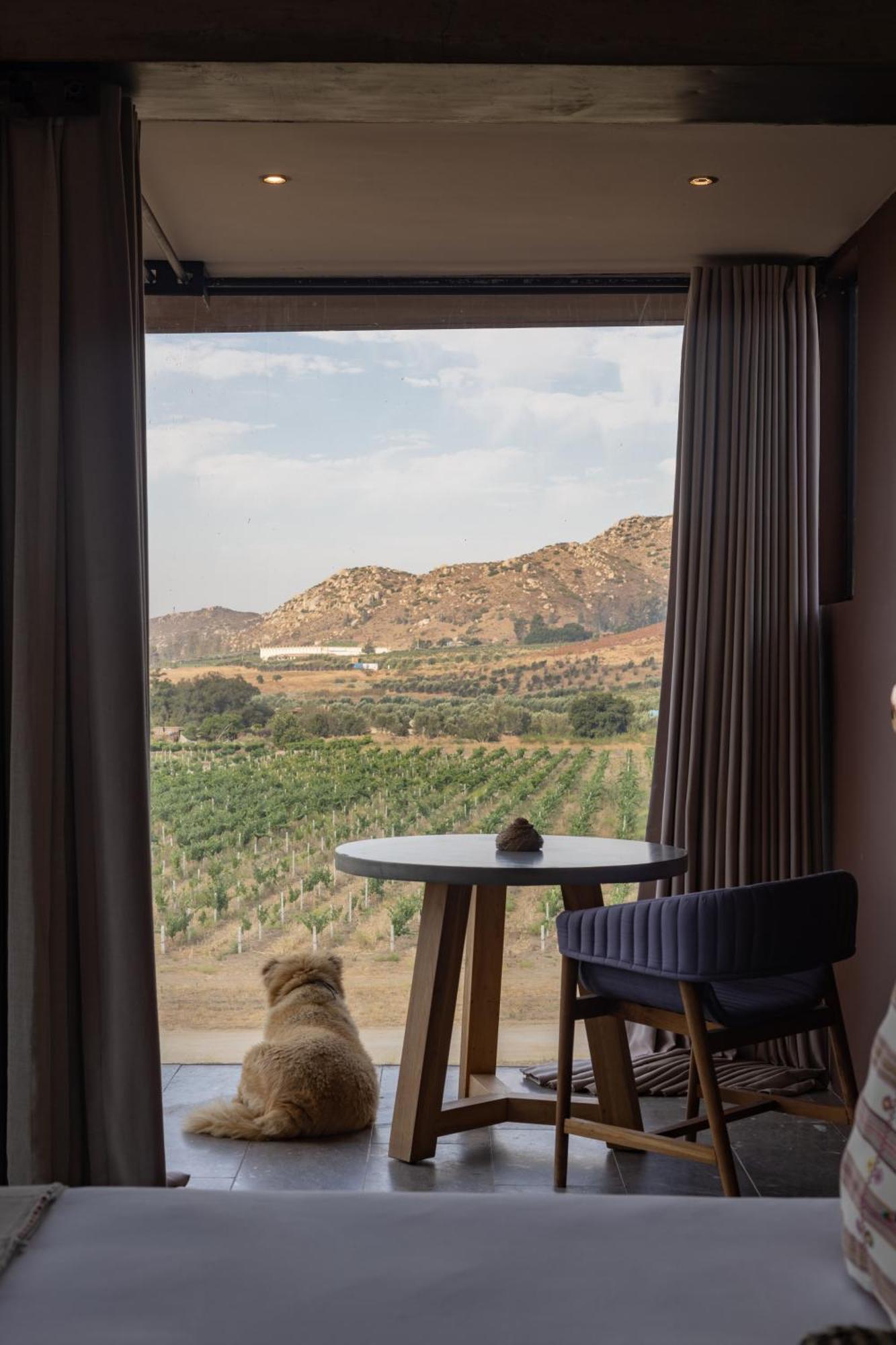 Bruma Wine Resort Valle de Guadalupe Extérieur photo