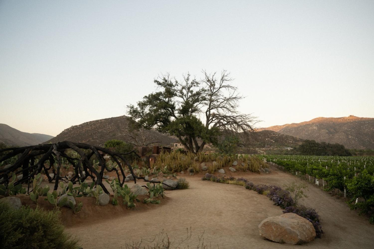 Bruma Wine Resort Valle de Guadalupe Extérieur photo